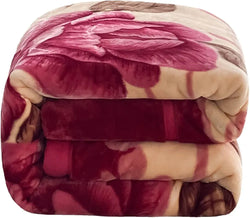 Couverture Polaire pour canapé Couverture Polaire en Flanelle épaisse pour lit Couverture Polaire légère, pelucheuse et Moelleuse pour canapé,A,200x230cm